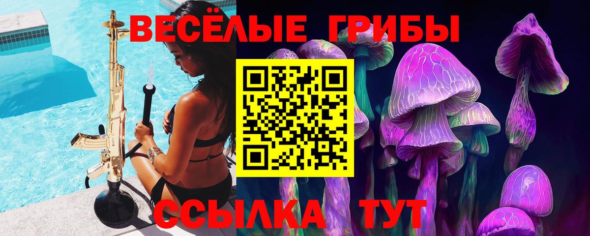 Тайшет  Псилоцибиновые грибы Psilocybe  Вход с VPN 